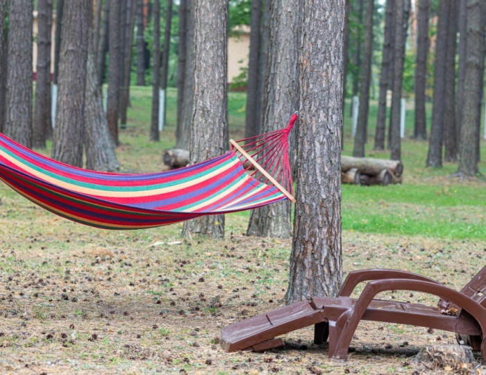 Услуги и развлечения - Санаторий «Пралеска» Беларусь Минская область