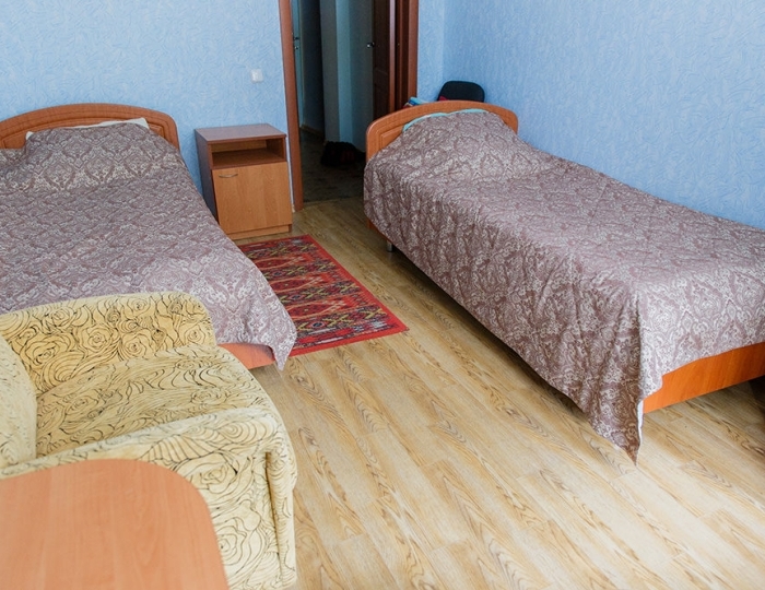 Эконом 2-местный - Санаторий «Пралеска» Беларусь Минская область