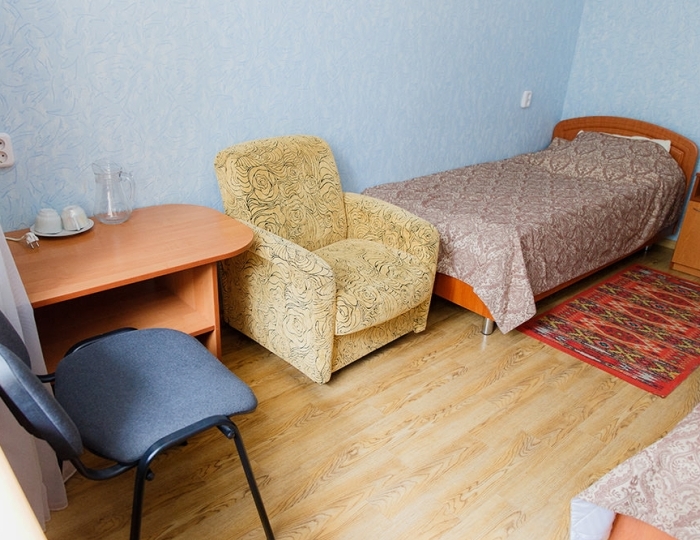 Эконом 2-местный - Санаторий «Пралеска» Беларусь Минская область